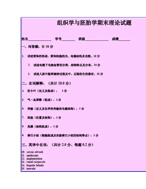 组织学与胚胎学期末理论试题