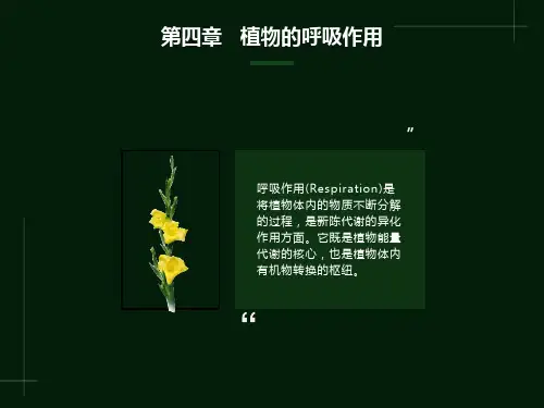 植物生理学第4-1章章呼吸作用