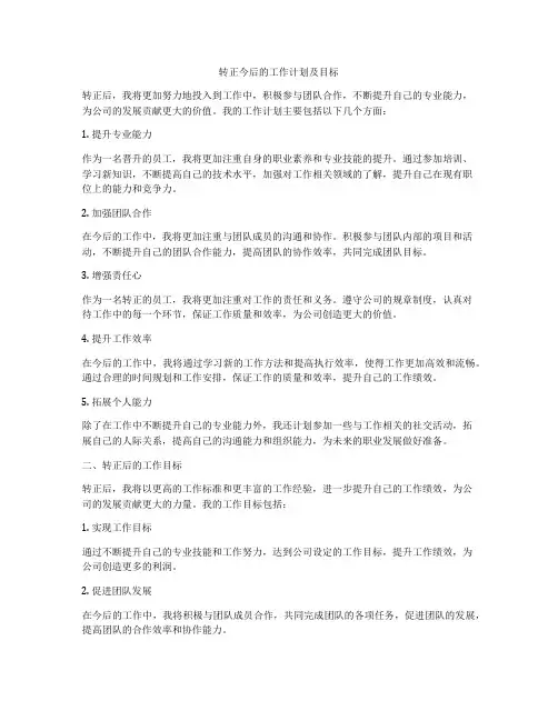 转正今后的工作计划及目标