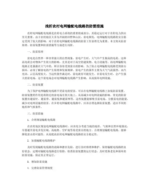 浅析农村电网输配电线路的防雷措施
