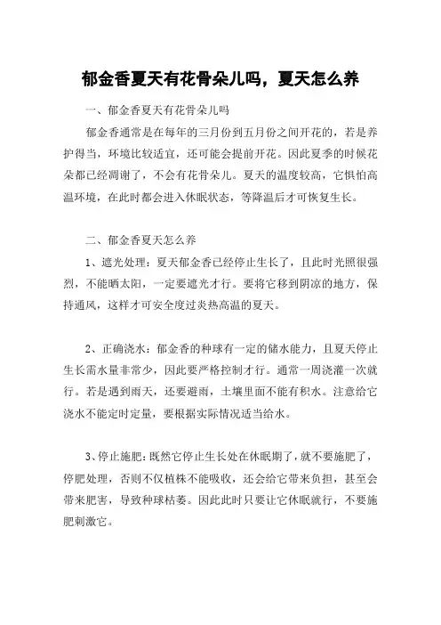 郁金香夏天有花骨朵儿吗,夏天怎么养