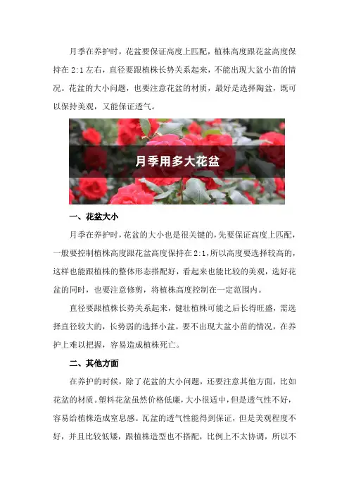月季用多大花盆