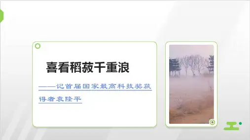 【新教材】4.1喜看稻菽千重浪 教学课件——高中语文统编必修上册PPT精美版