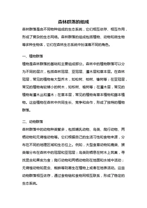 森林群落的组成