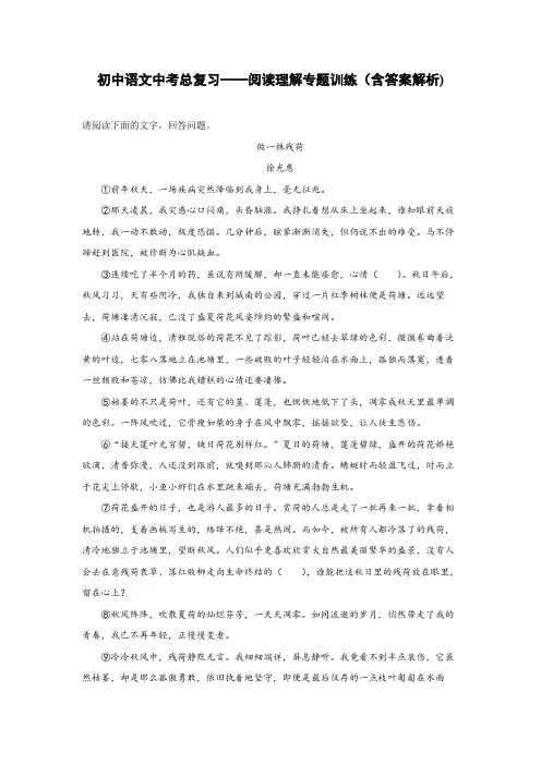初中语文中考总复习阅读理解专题训练(做一株残荷)