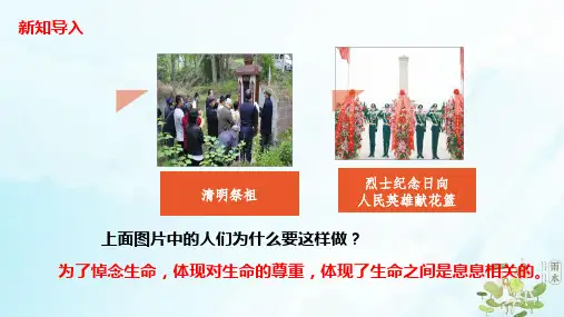 人教版《道德与法治》七年级上册敬畏生命课件