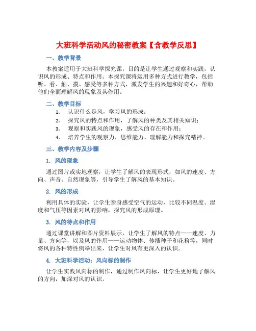 大班科学活动风的秘密教案【含教学反思】