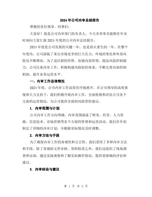 2024年公司内审总结报告