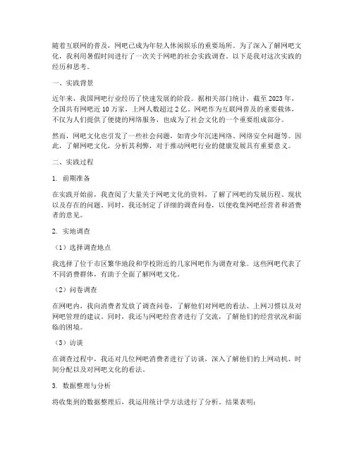 暑期社会实践网吧