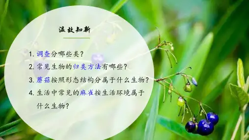 人教版七年级生物上册  1.2.1  生物与环境的关系(第一课时)(22张PPT)