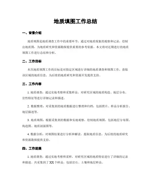 地质填图工作总结