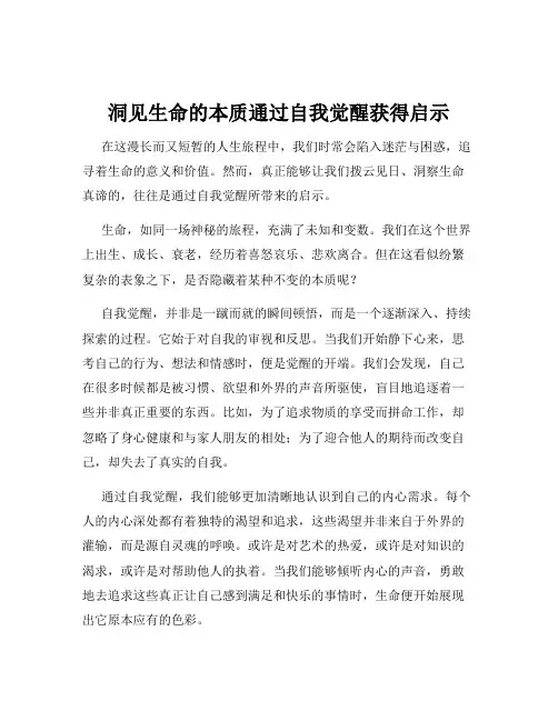 洞见生命的本质通过自我觉醒获得启示