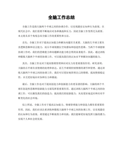 全脑工作总结