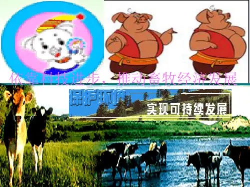 动物消化系统 图文