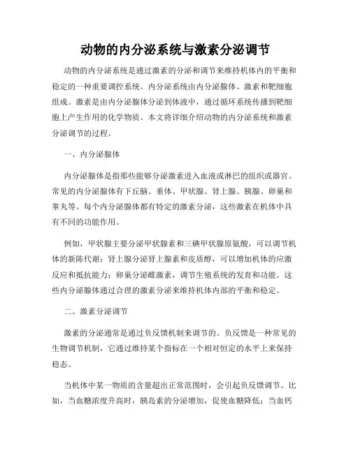 动物的内分泌系统与激素分泌调节