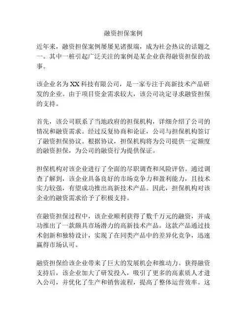 融资担保案例