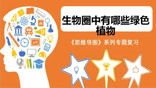 人教版七年级生物上册《思维导图 生物圈中有哪些绿色植物》课件