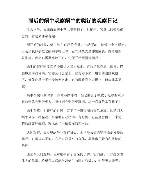 小学三年级作文雨后的蜗牛观察蜗牛的爬行的观察日记