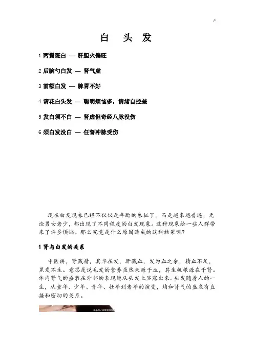 白头发中医辨症知识简介
