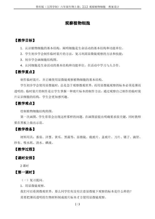鲁科版(五四学制)六年级生物上册：2.1.2 观察植物细胞  教案设计
