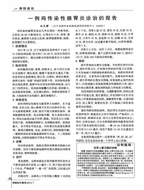 世界上最丑陋的动物