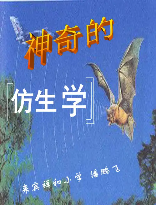 神奇的仿生学PPT