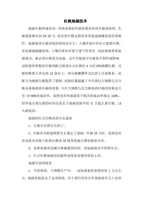 红枫地插技术