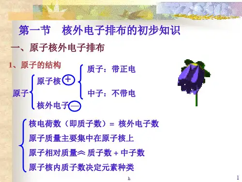 初三化学核外电子排布 浙教版-PPT课件