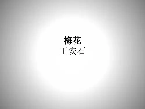 王安石《梅花》课件PPT