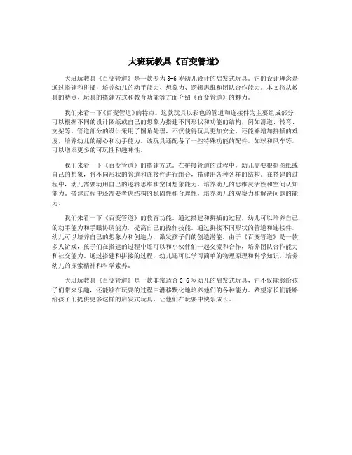 大班玩教具《百变管道》