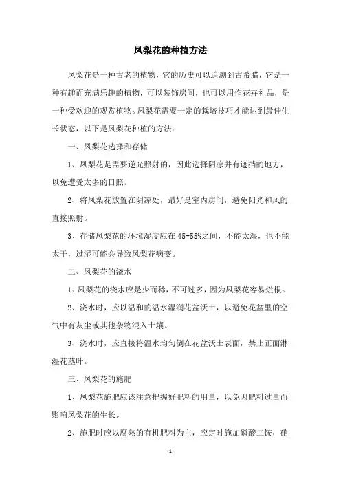 凤梨花的种植方法