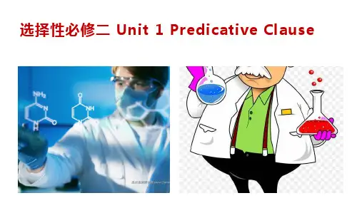 高中英语人教版(2019)选择性必修第二册Unit 1表语从句课件