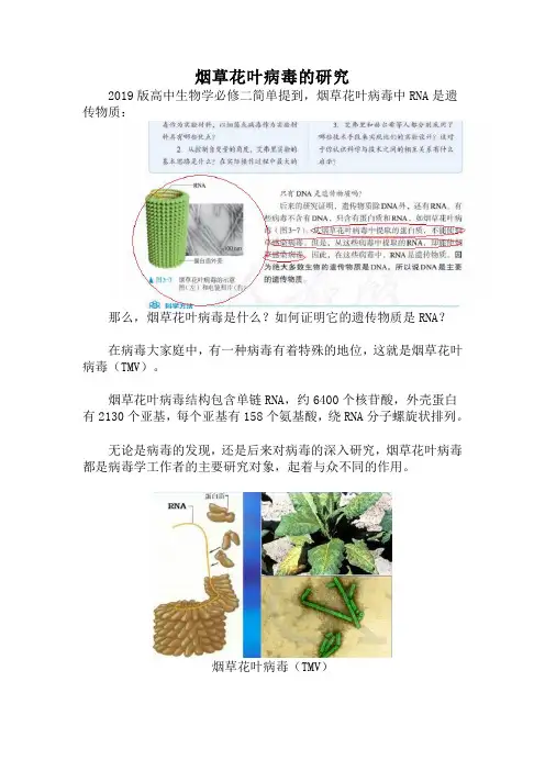 备课素材：烟草花叶病毒的研究-高一下学期生物人教版必修2