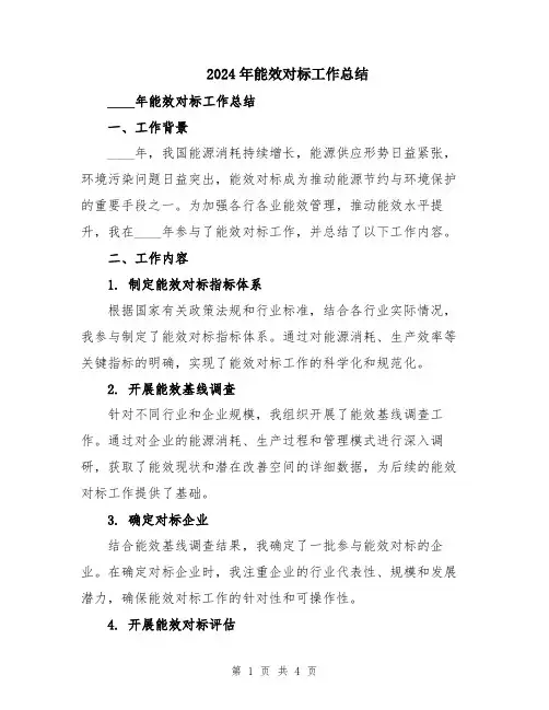 2024年能效对标工作总结