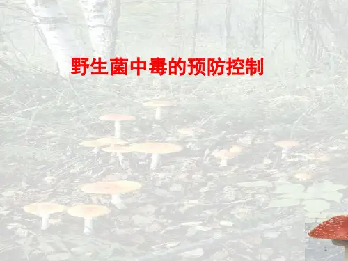 野生菌中毒ppt课件