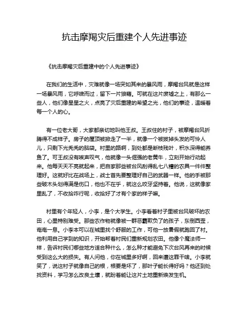 抗击摩羯灾后重建个人先进事迹