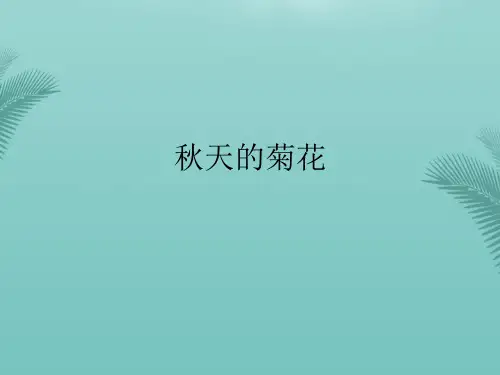 秋天的菊花(精选优秀)PPT