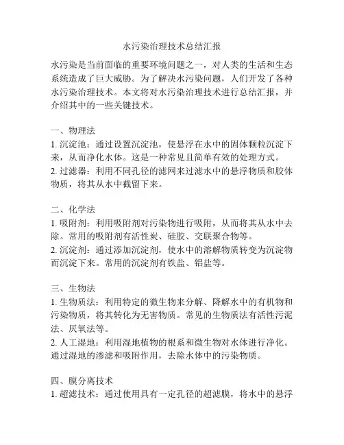 水污染治理技术总结汇报