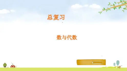《数与代数》北师大版数学课件下载1