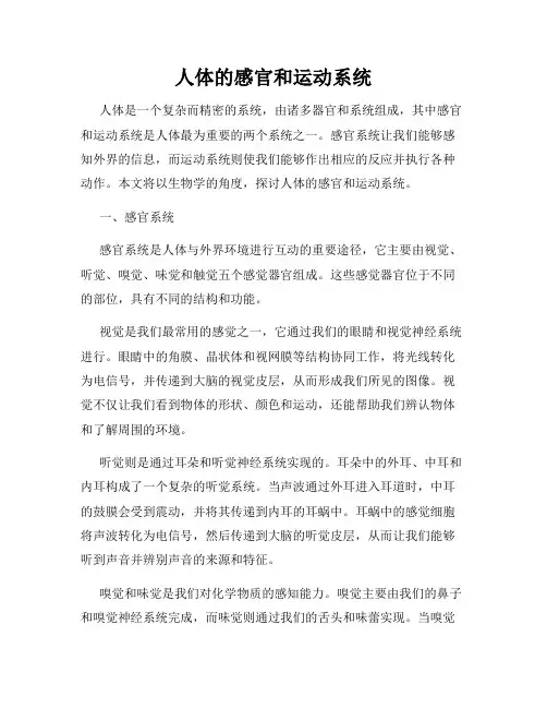 人体的感官和运动系统