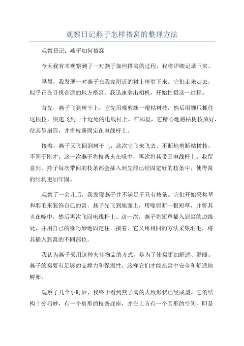观察日记燕子怎样搭窝的整理方法