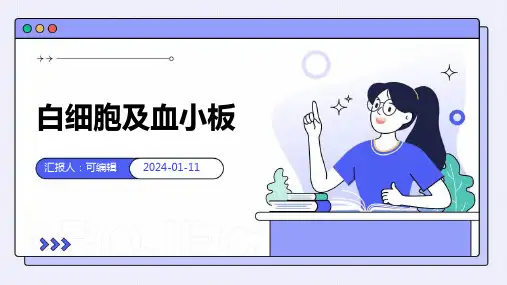 白细胞及血小板PPT