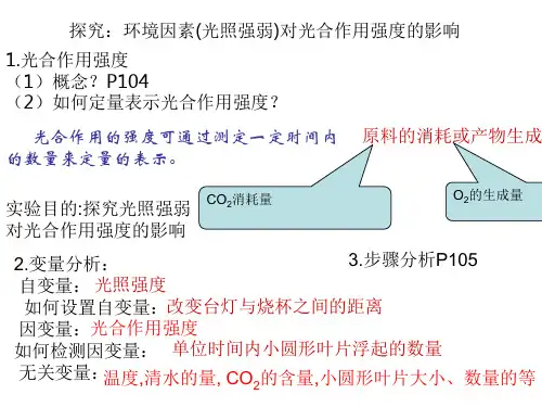 高中生物必修一 光合作用 (2)