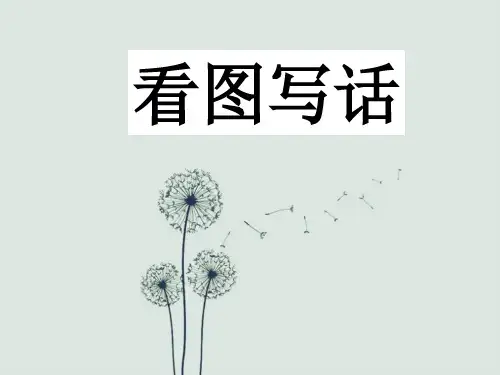 二年级_看图写话—刺猬让座