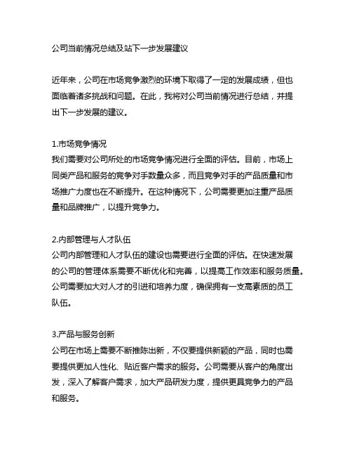 公司当前情况总结及站下一步发展建议