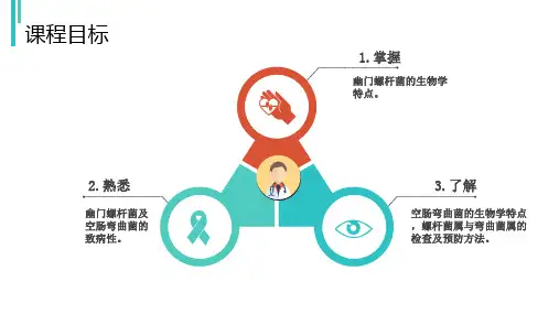 螺杆菌属与弯曲菌属