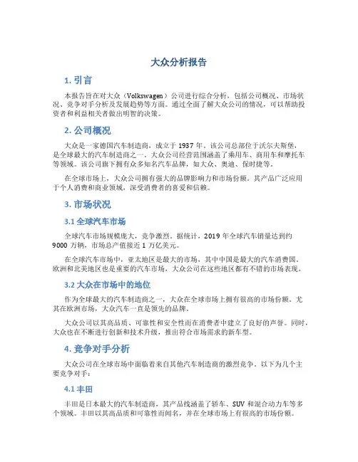 大众分析报告