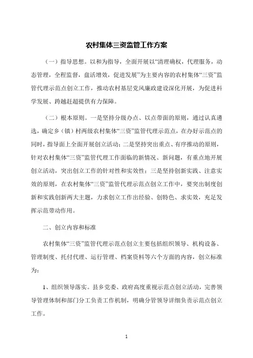 农村集体三资监管工作方案