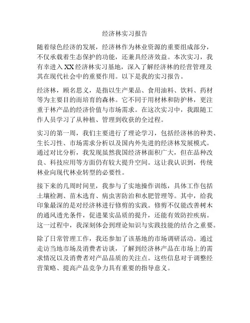经济林实习报告