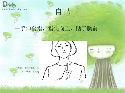 手语培训图解词语PPT课件